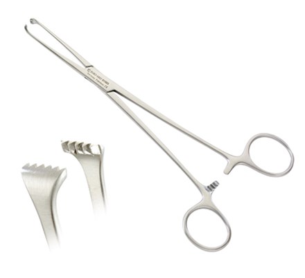 Euro-Med Allis Tissue Forceps