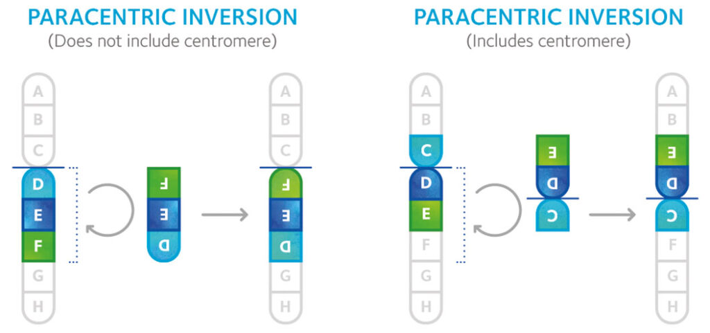 Inversions-B