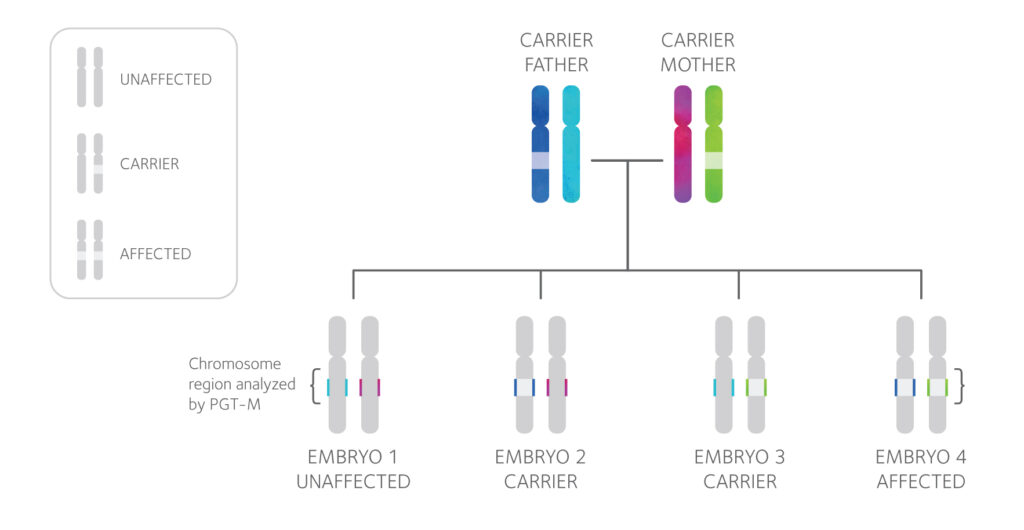 PGT-M-Carrier