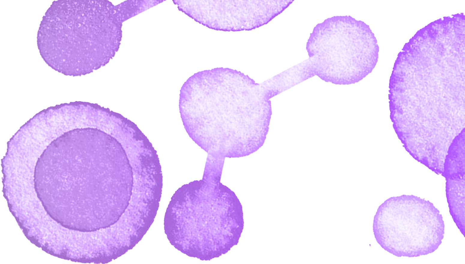 Sono HSG Procedure using ABBI: Air Bubbles Flow in Uterus