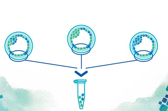 How do you Prioritize Mosaic Embryos for Transfer?