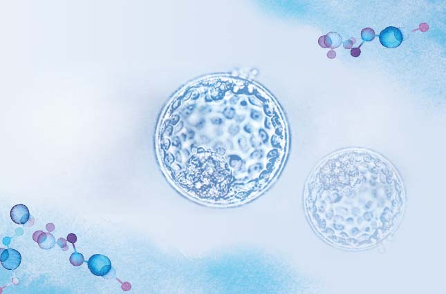 Procedure-embryoBiopsy-FI