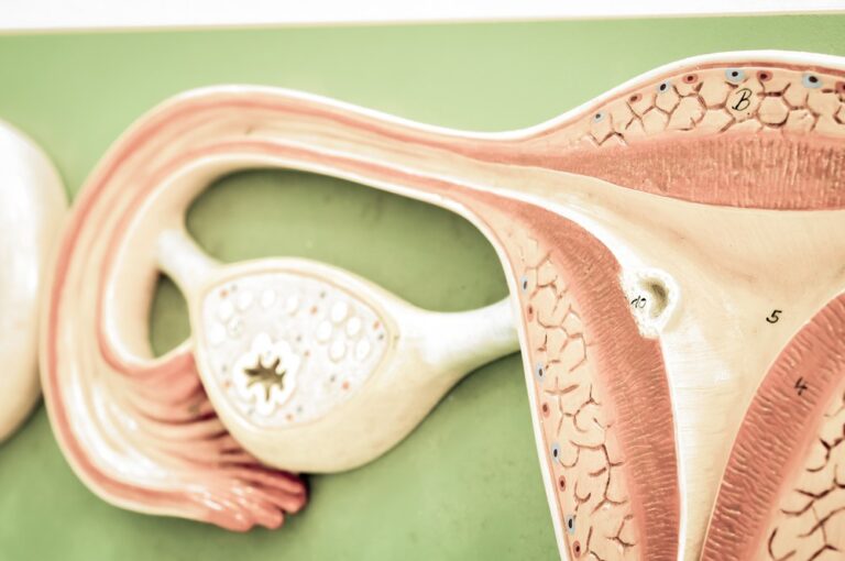 How To Know Exactly When You’re Ovulating CooperSurgical