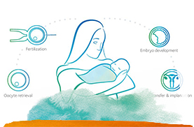IVF 101