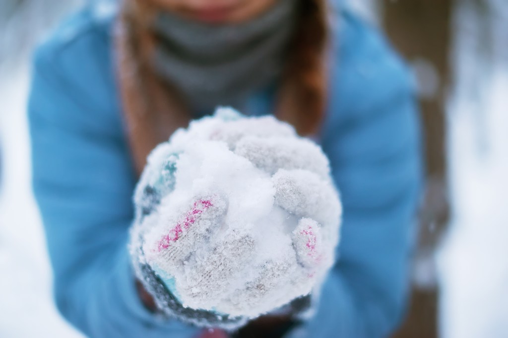 Knowing (and possibly freezing) the Eggs in Your Basket