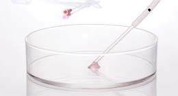 Needles-Catheters-FI