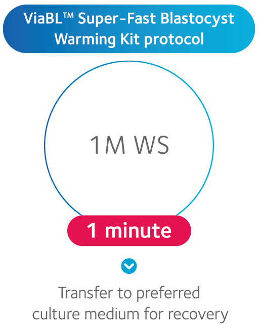 ViaBL-protocol-image-2025-1