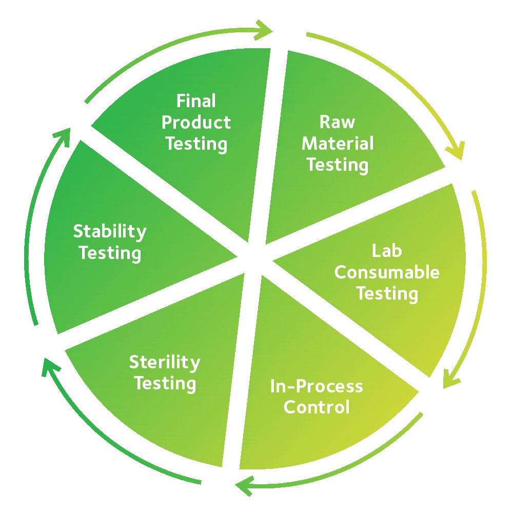 Pie-chart-animation_1000