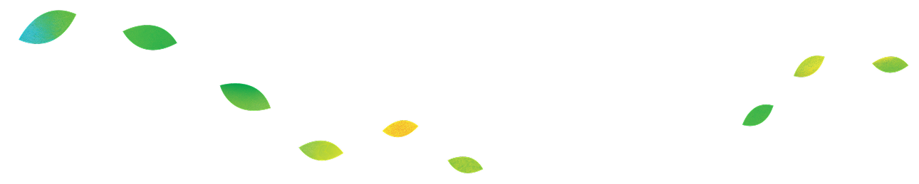 leaves-line-1