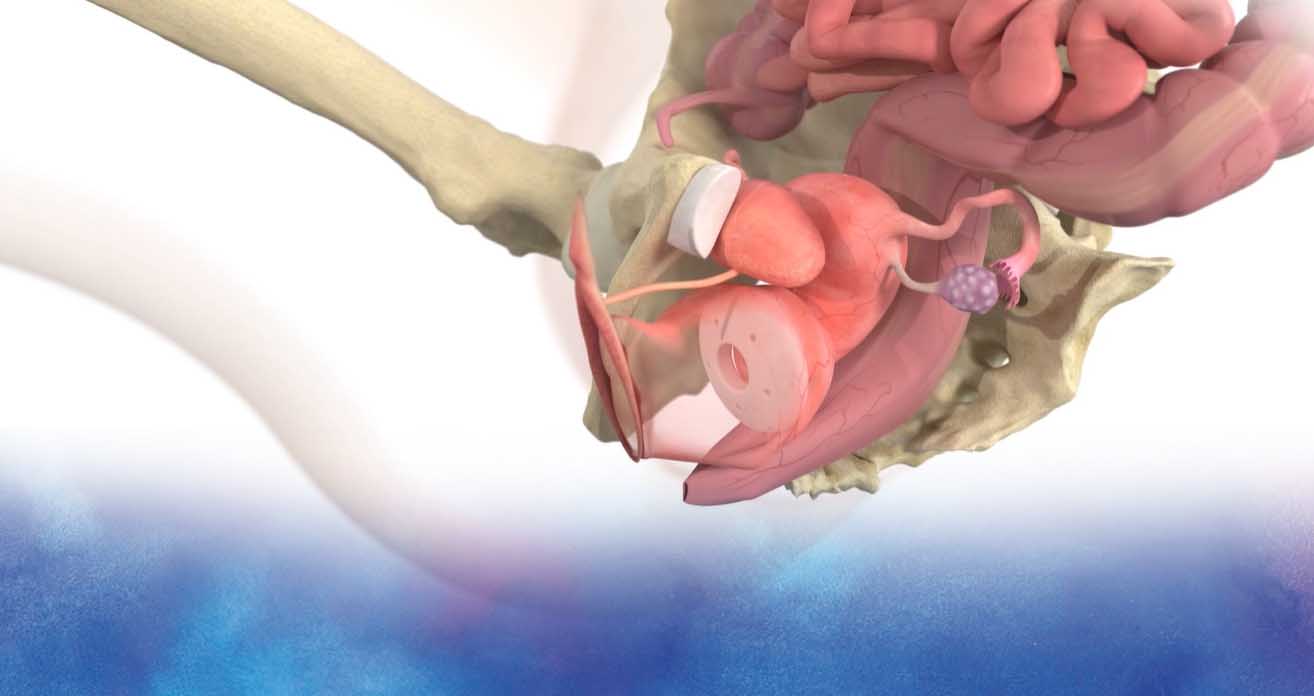 Instructional-videos