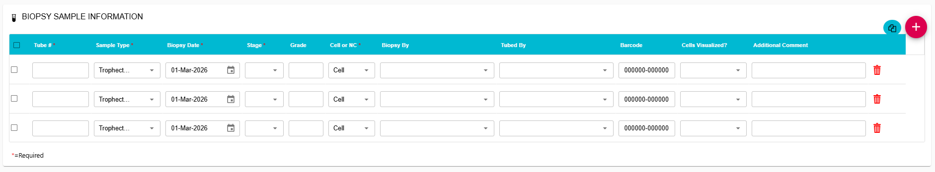 Screenshot - biopsy worksheet