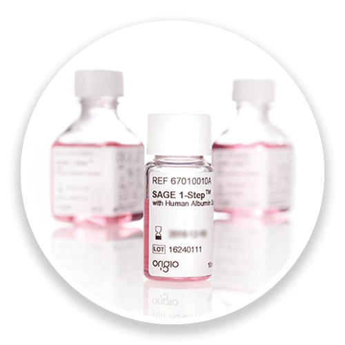 Single step culture media