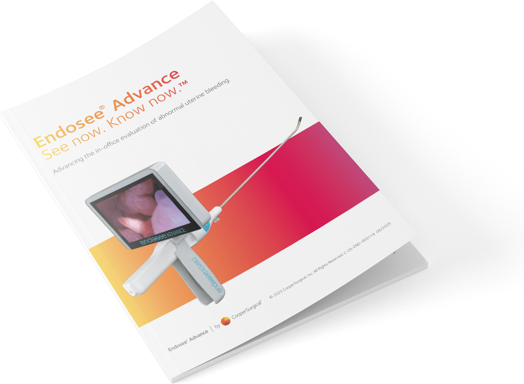 Endosee-HCP-brochure-mockup