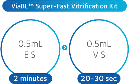 Diagram-viabl (1)
