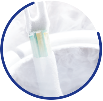 cryopreservation