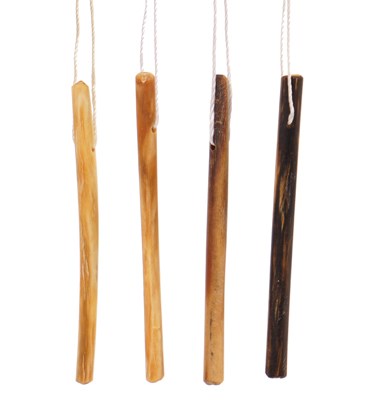 Four Dilateria each hanging on strings next to each other