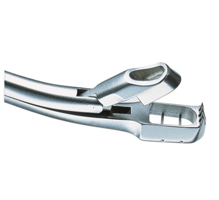 Close-up of stainless steel Euro-Med Wittner Tip Biopsy Punch tool