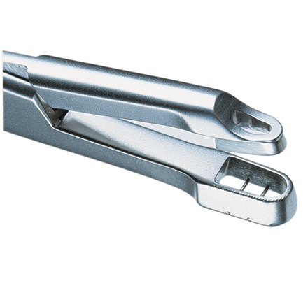 Close-up of the tip of a stainless steel biopsy punch tool